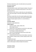 Konspekts 'Ādas slimības', 14.