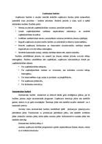 Konspekts 'Valsts un uzņēmuma budžets', 2.