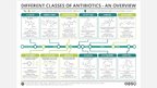 Prezentācija 'Antibiotic Therapy - General Facts', 9.
