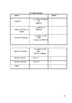 Referāts 'Katastrofas uz kuģošanas transportlīdzekļiem', 30.