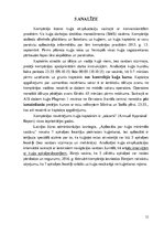 Referāts 'Katastrofas uz kuģošanas transportlīdzekļiem', 33.