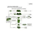 Diplomdarbs 'Sadzīves atkritumu plūsmas analīze Preiļu novadā no 2007. līdz 2011.gadam', 61.