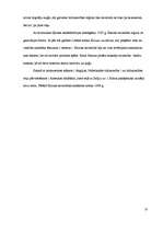 Referāts 'Pilsētas un tirdzniecība viduslaikos', 10.