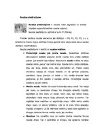 Konspekts 'Monetārā politika', 16.