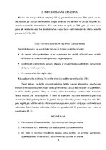 Referāts 'Ieguvumi un zaudējumi no integrācijas Eiropas Savienībā', 16.