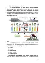 Referāts 'Atkritumu saimniecības attīstības nosacījumi', 4.