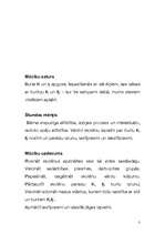 Konspekts 'Latviešu valodas stundas konspekts', 3.