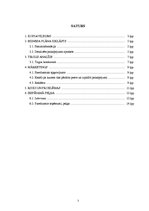 Biznesa plāns 'Biznesa plāns ekonomikā', 2.