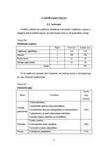 Biznesa plāns 'Biznesa plāns ekonomikā', 12.