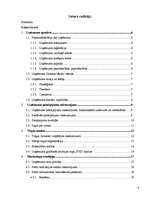 Biznesa plāns 'Biznesa plāns tūrisma aģentūrai', 4.