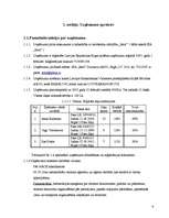 Biznesa plāns 'Biznesa plāns tūrisma aģentūrai', 6.