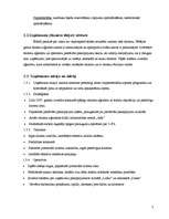 Biznesa plāns 'Biznesa plāns tūrisma aģentūrai', 7.