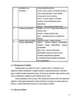 Biznesa plāns 'Biznesa plāns tūrisma aģentūrai', 10.