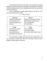 Biznesa plāns 'Biznesa plāns tūrisma aģentūrai', 16.