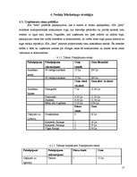 Biznesa plāns 'Biznesa plāns tūrisma aģentūrai', 17.