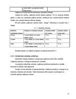 Biznesa plāns 'Biznesa plāns tūrisma aģentūrai', 20.