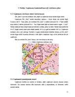 Biznesa plāns 'Biznesa plāns tūrisma aģentūrai', 21.