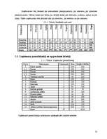 Biznesa plāns 'Biznesa plāns tūrisma aģentūrai', 22.