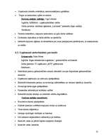 Biznesa plāns 'Biznesa plāns tūrisma aģentūrai', 25.