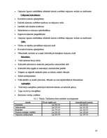 Biznesa plāns 'Biznesa plāns tūrisma aģentūrai', 26.