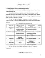 Biznesa plāns 'Biznesa plāns tūrisma aģentūrai', 28.