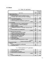 Biznesa plāns 'Biznesa plāns tūrisma aģentūrai', 31.