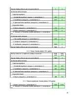 Biznesa plāns 'Biznesa plāns tūrisma aģentūrai', 39.