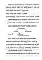 Referāts 'Vērtspapīru emisijas process, tā valstiskā regulēšana', 11.