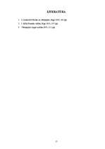 Referāts 'Vērtspapīru emisijas process, tā valstiskā regulēšana', 17.