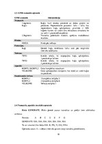 Paraugs 'Transporta procesu datormodelēšana "Kuģu apkalpošana"', 10.