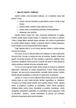 Referāts 'Speciālie budžeti', 5.