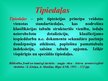 Prezentācija 'Dokumentu tipoloģija', 8.