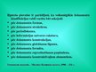Prezentācija 'Dokumentu tipoloģija', 10.