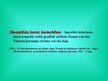 Prezentācija 'Dokumentu tipoloģija', 44.