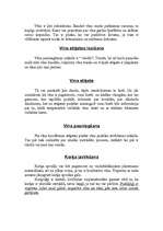 Referāts 'Sarkanvīns', 2.