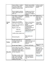 Prakses atskaite 'Pirmsskolas skolotāja pedagoģiskā prakse  3.vecumposms', 16.