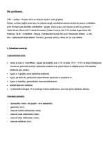 Konspekts 'Latgaliešu mūzikas koncerts "Uzdrošinies šovasar būt jauns!"', 6.