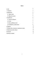 Referāts 'Elektroniskās norēķinu kartes', 1.