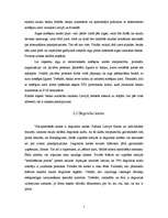 Referāts 'Elektroniskās norēķinu kartes', 5.