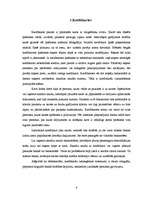 Referāts 'Elektroniskās norēķinu kartes', 6.