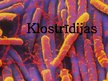 Prezentācija 'Klostrīdiju ģints baktērijas', 1.