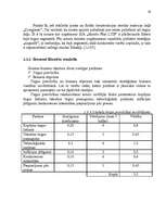 Referāts 'Uzņēmuma SIA "Skonto Plan LTD" mārketinga vides un stratēģijas analīze un darbīb', 19.