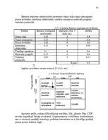 Referāts 'Uzņēmuma SIA "Skonto Plan LTD" mārketinga vides un stratēģijas analīze un darbīb', 20.