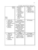 Referāts 'Uzņēmuma SIA "Skonto Plan LTD" mārketinga vides un stratēģijas analīze un darbīb', 25.