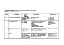 Paraugs 'Pacienta aprūpes plāns', 9.