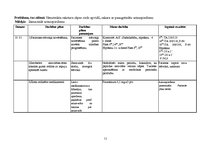 Paraugs 'Pacienta aprūpes plāns', 11.