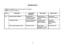 Paraugs 'Pacienta aprūpes plāns', 12.