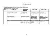 Paraugs 'Pacienta aprūpes plāns', 13.