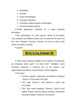 Paraugs 'Institūtu un institūciju analīzes plāns', 2.