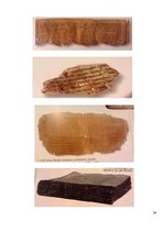 Referāts 'Bībele, tās tulkojumi un izplatība', 54.